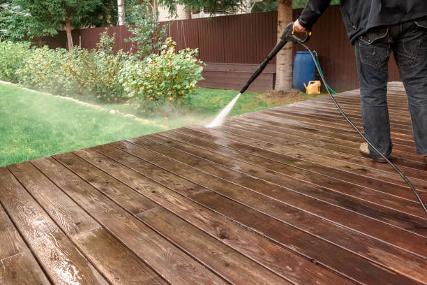 Best Roof Washing  in Carrington, ND