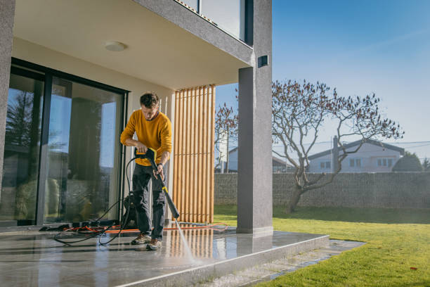 Best Pre-Holiday Cleaning  in Carrington, ND