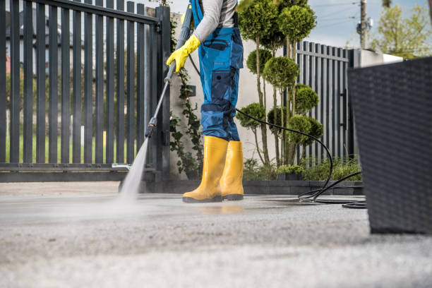 Best Sidewalk and Walkway Cleaning  in Carrington, ND