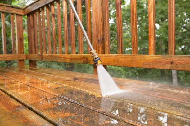 Best Factory Floor Cleaning  in Carrington, ND